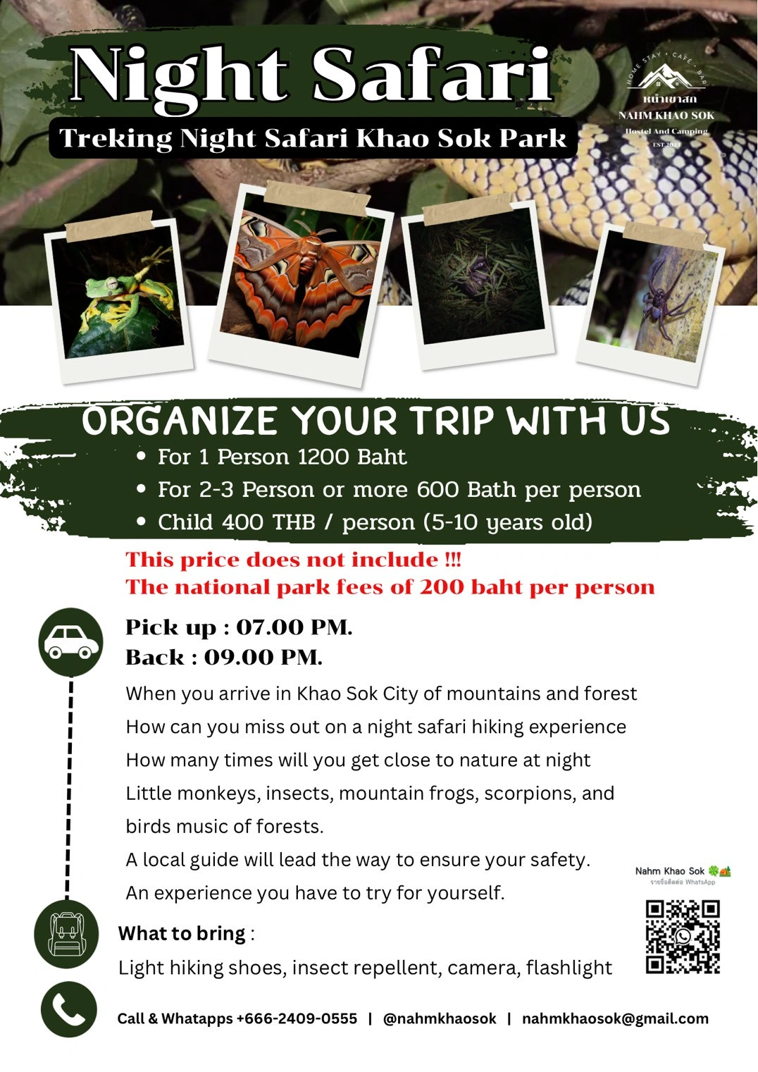 Tour Packages Pictures