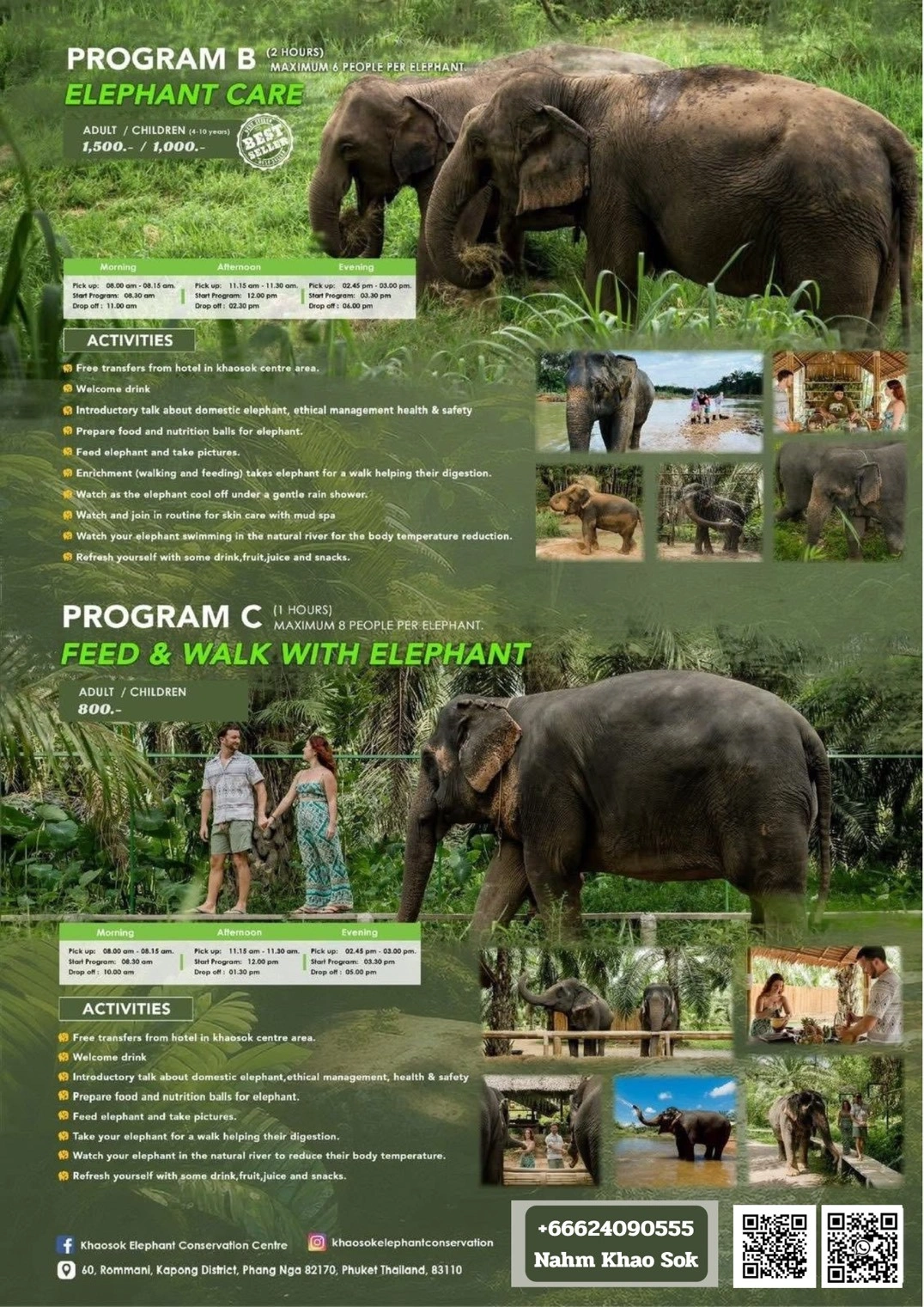 Tour Packages Pictures
